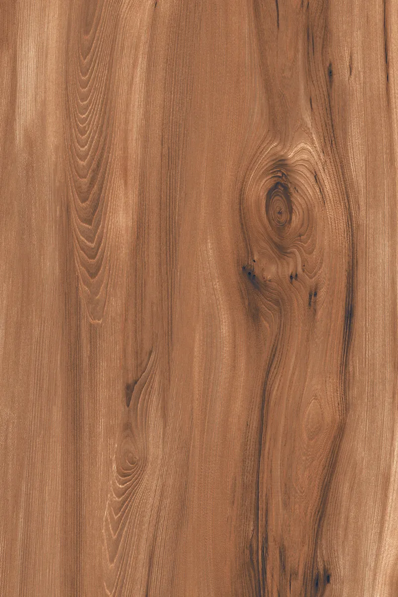 Matte Finish American Walnut Brown GVT 800x1200mm