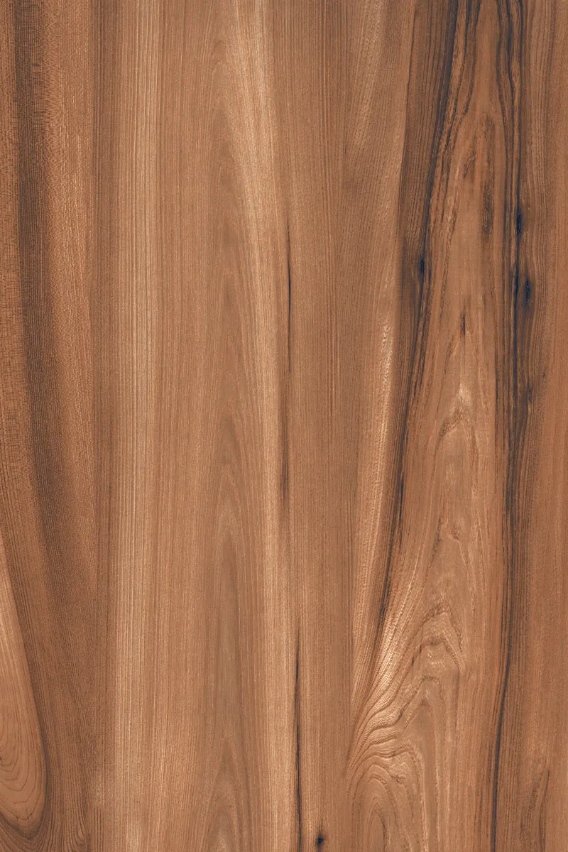 Matte Finish American Walnut Brown GVT 800x1200mm