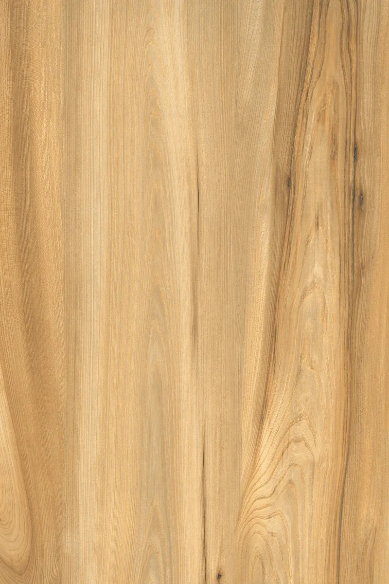 Matte Finish American Walnut Light GVT 800x1200mm