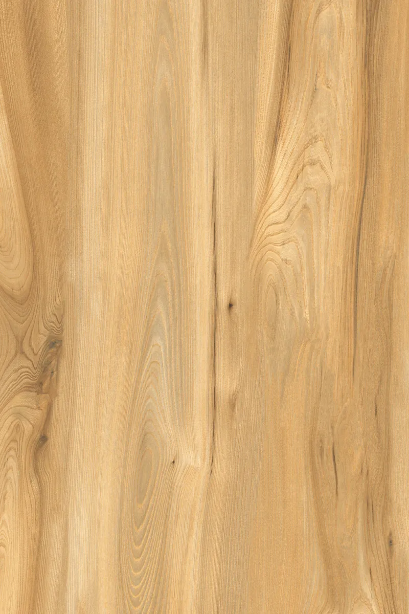 Matte Finish American Walnut Light GVT 800x1200mm
