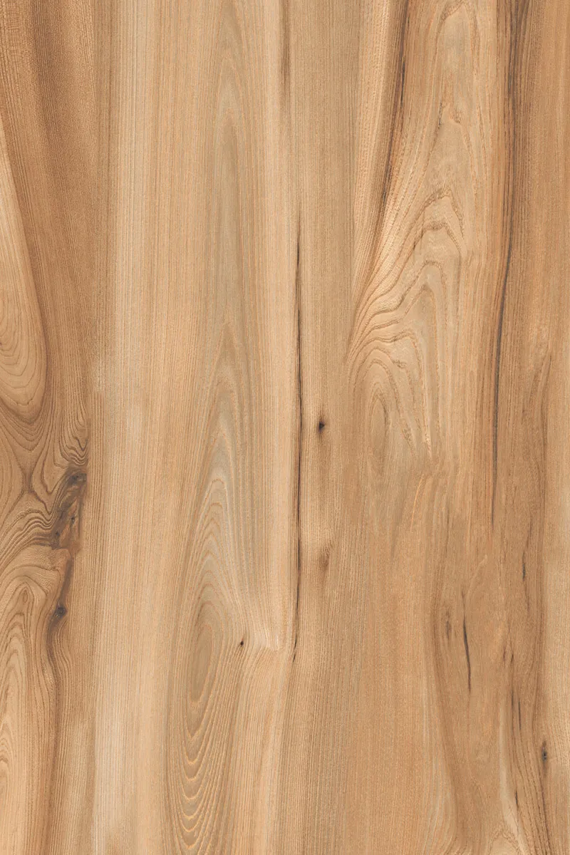 Matte Finish American Walnut Natural GVT 800x1200mm