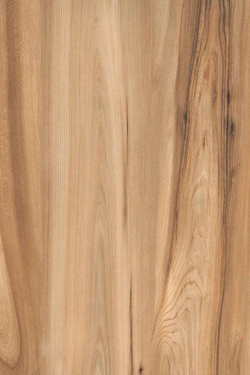 Matte Finish American Walnut Natural GVT 800x1200mm