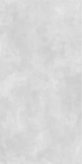 Matte Finish 60120MT APOLO GREY 600x1200mm
