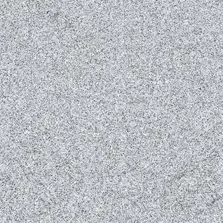 Matte Finish SHELL WHITE 600x600mm