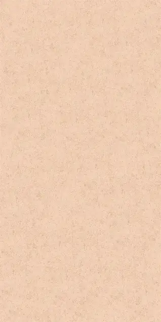 Matte Finish 81049(Athens-Natural) 600x1200mm