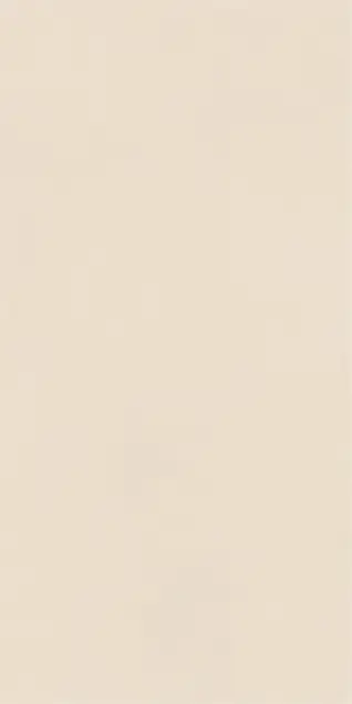 Posh Finish ALPS ARACHIDE 600x1200mm