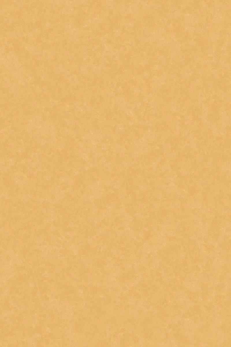 GHR Finish Cotto Sealine Musterd GVT 800x1200mm