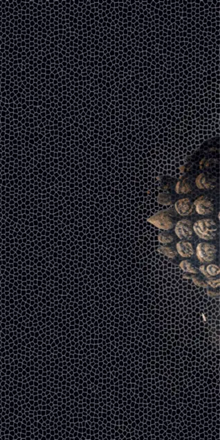 Glitter Finish KRIPIK BUDDHA 600x1200mm