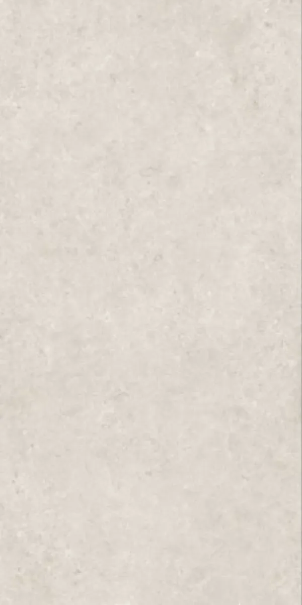 Matte Finish Envoque Bianco GVT 600x1200mm