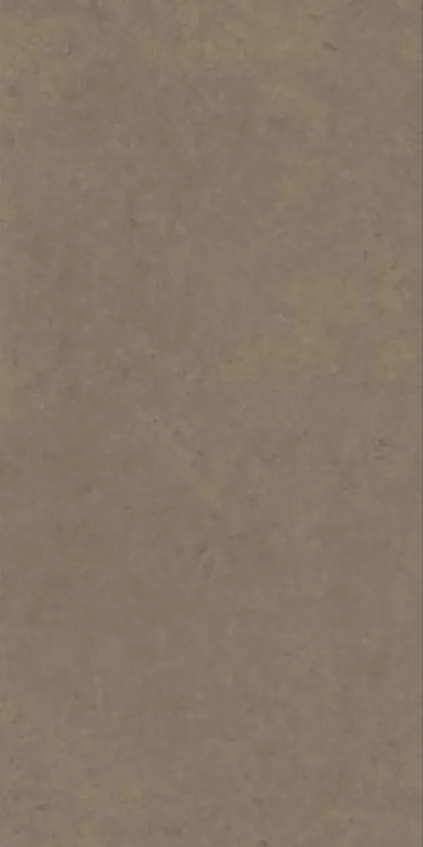 Matte Finish Evoque Brown GVT 600x1200mm