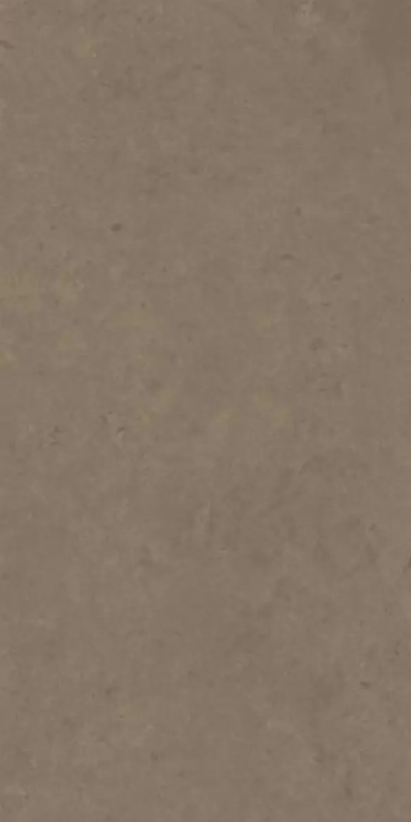 Matte Finish Evoque Brown GVT 600x1200mm