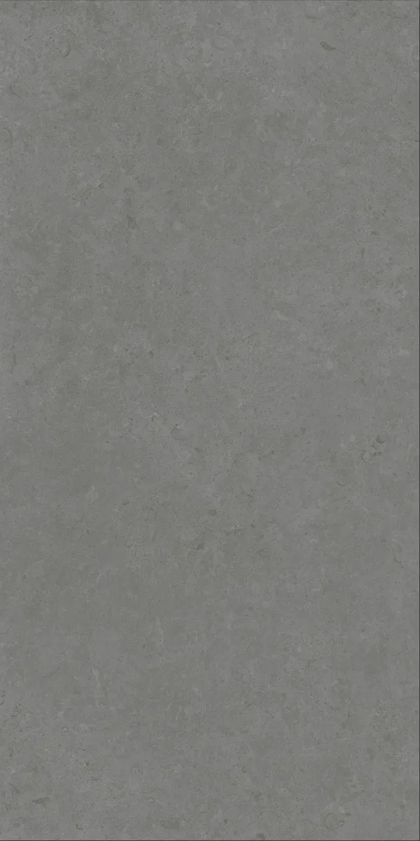 Matte Finish Evoque Fossil Grey 600x1200mm