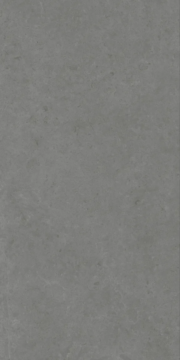 Matte Finish Evoque Fossil Grey GVT 600x1200mm