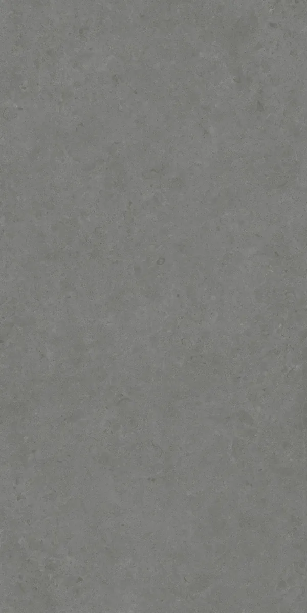 Matte Finish Evoque Fossil Grey GVT 600x1200mm