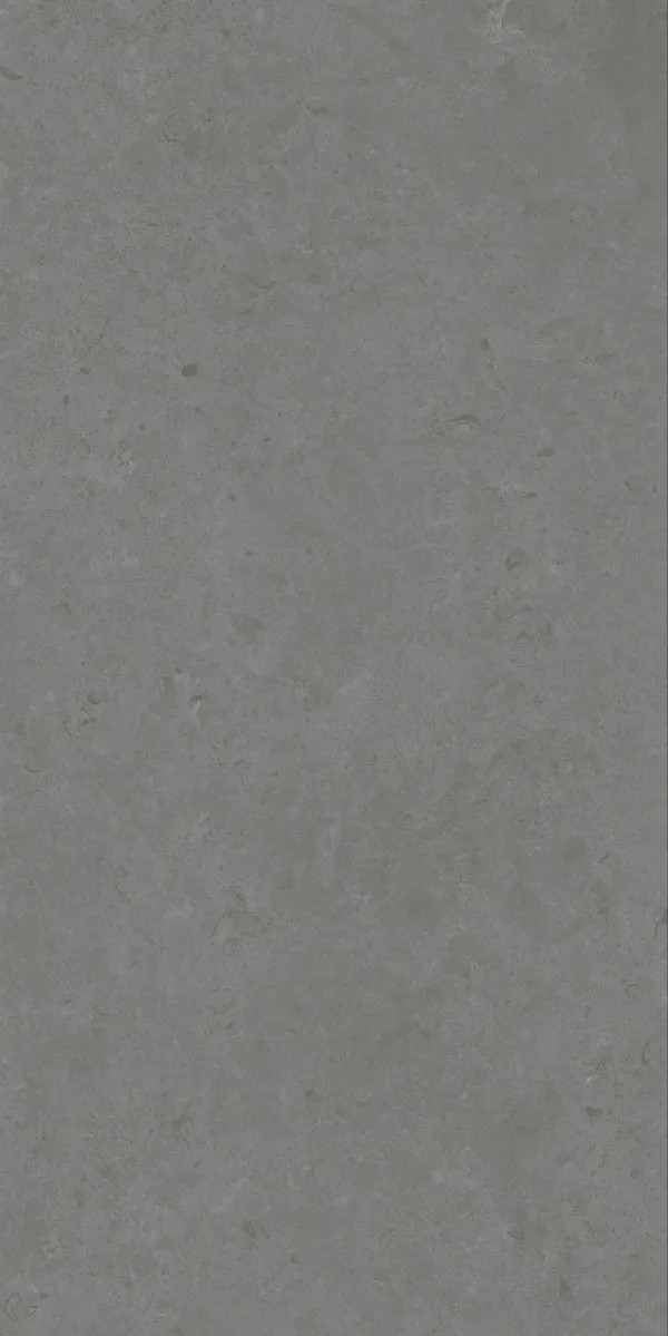 Matte Finish Evoque Fossil Grey GVT 600x1200mm