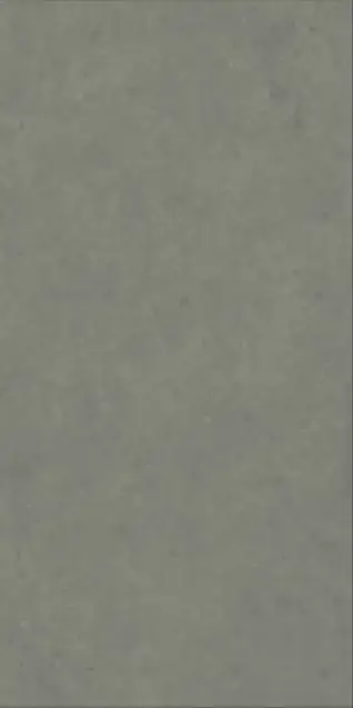 Matte Finish Evoque Fossil Olive 600x1200mm