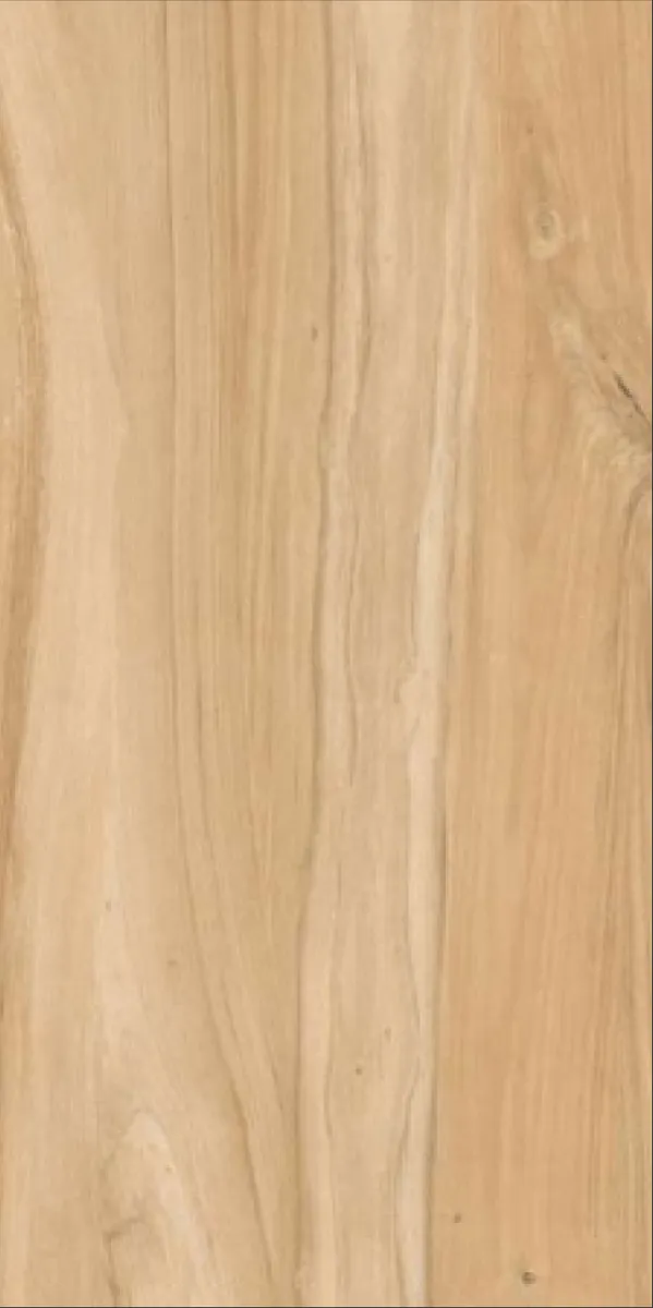 Matte Finish Noop Wood Ivory GVT 600x1200mm