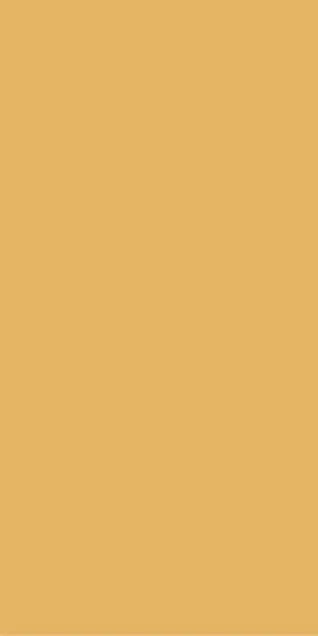 Matte Finish JAISALMER 600x1200mm