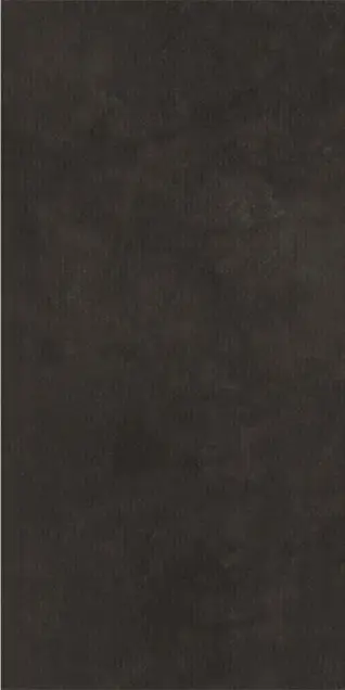 Posh Finish ALPS CARTA 600x1200mm