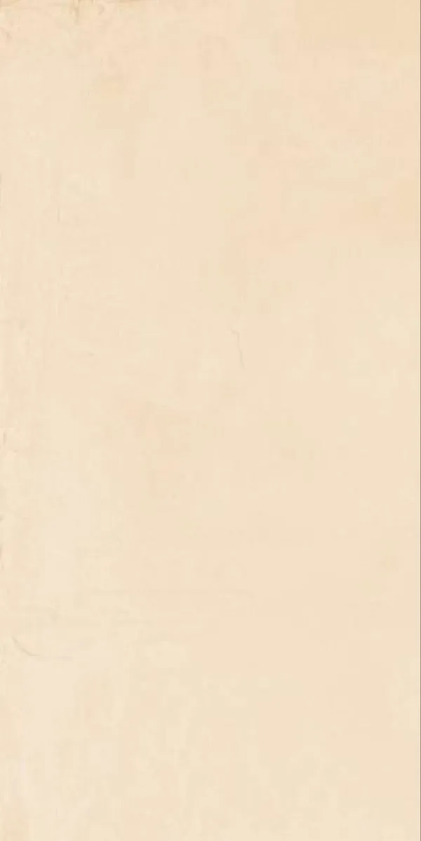 Matte Finish Monolith Ivory GVT 600x1200mm