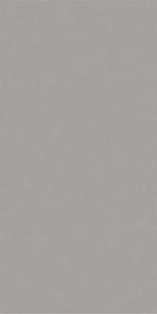 Matte Finish 60120MT NEO GREY 600x1200mm