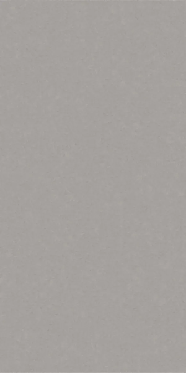 Matte Finish 60120MT NEO GREY GVT 600x1200mm