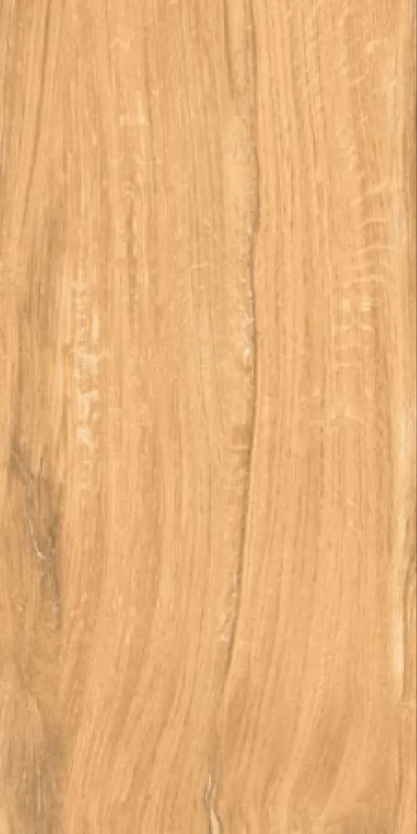 Matte Finish Nero Wood Natural GVT 600x1200mm