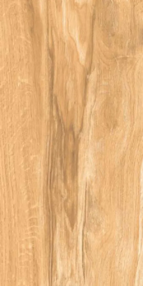 Matte Finish Nero Wood Natural GVT 600x1200mm