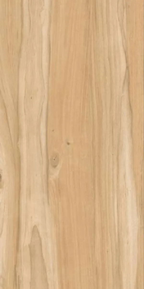 Matte Finish Noop Wood Ivory GVT 600x1200mm