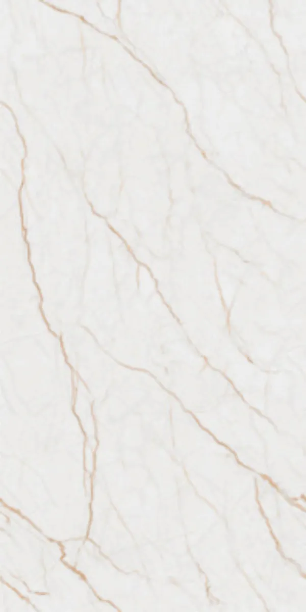 PEGAMENTO PETRA 600x1200mm Matte Carving GVT tile in a marble look