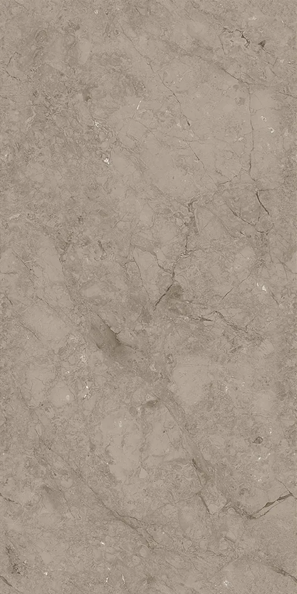 Matte Carving Finish Rodontta Br Dark  GVT 600x1200mm