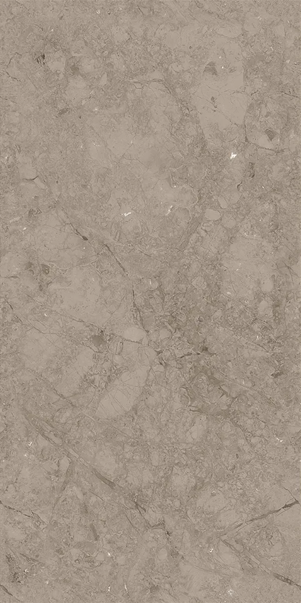 Matte Carving Finish Rodontta Br Dark  GVT 600x1200mm