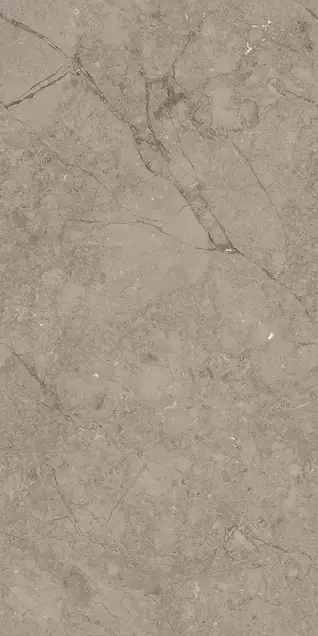 Matte Carving Finish Rodontta Br Dark  600x1200mm