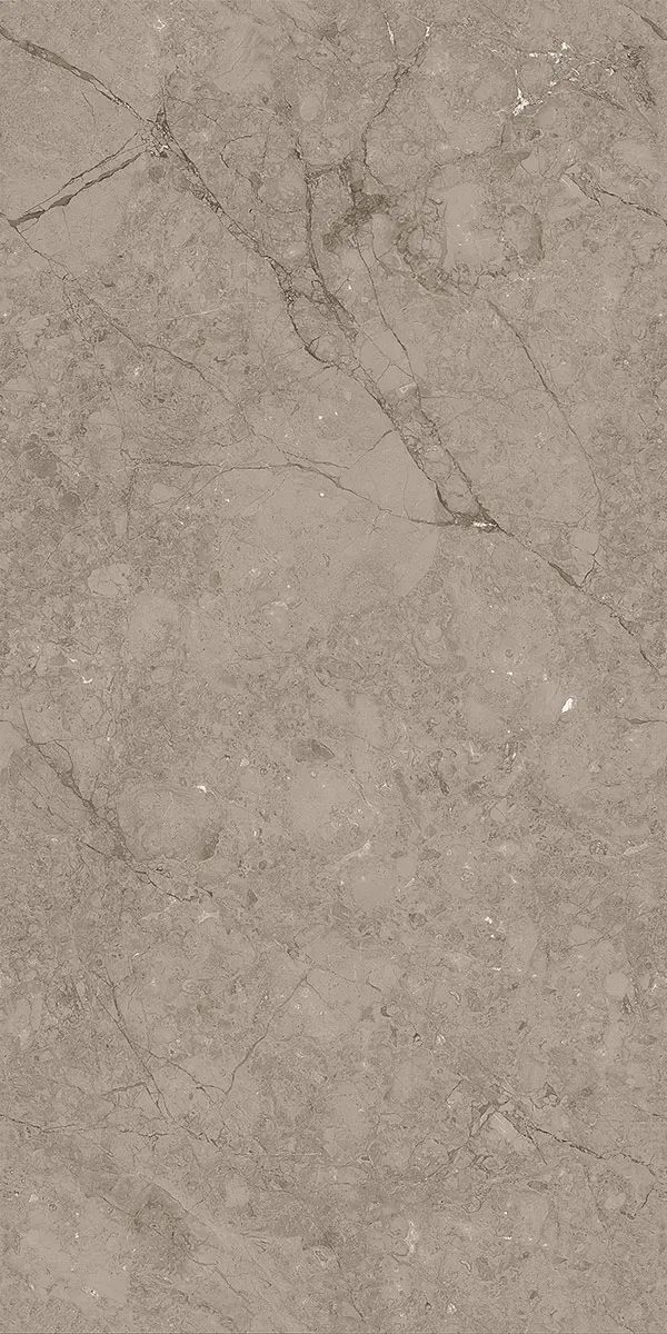 Matte Carving Finish Rodontta Br Dark  GVT 600x1200mm