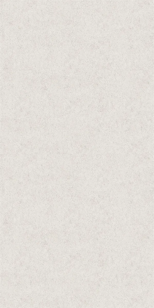 Matte Finish 81051(Sandro-Bianco) GVT 600x1200mm