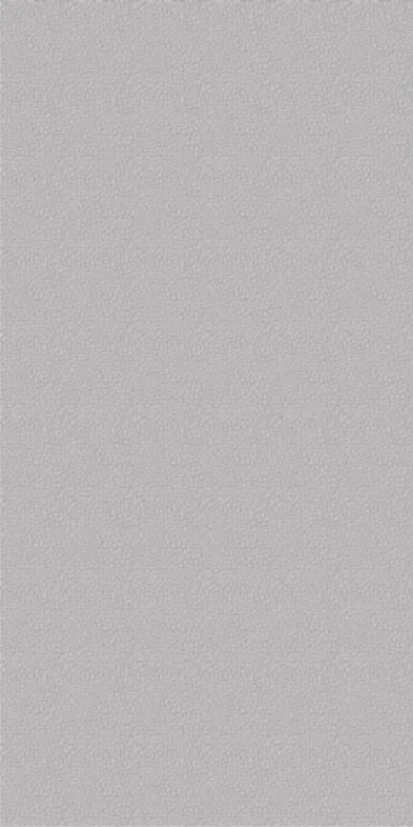 Matte Finish LEKURE GRIS GVT 600x1200mm