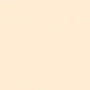 Matte Finish RUSTIC IVORY_OK 600x600mm