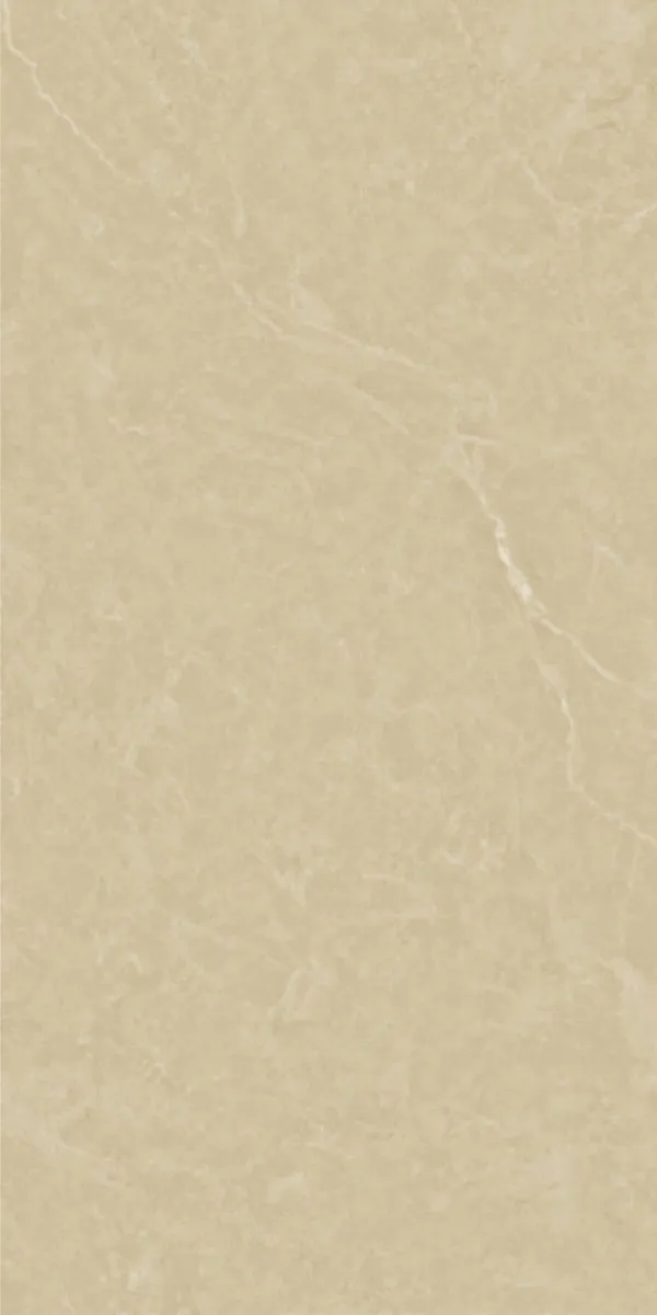 Stucco Finish STONERY DUBAI GVT 600x1200mm