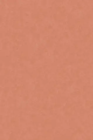 GHR Finish Cotto Sealine Terracotta 800x1200mm