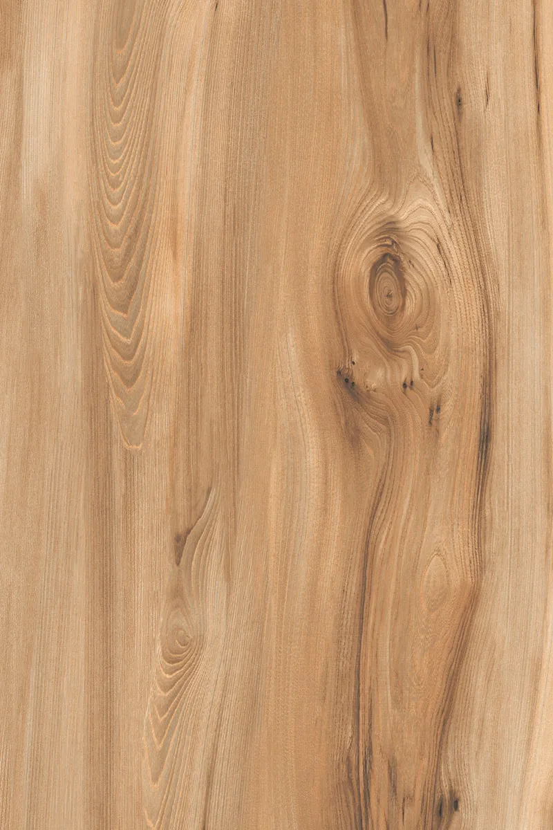 Matte Finish American Walnut Natural 800x1200mm