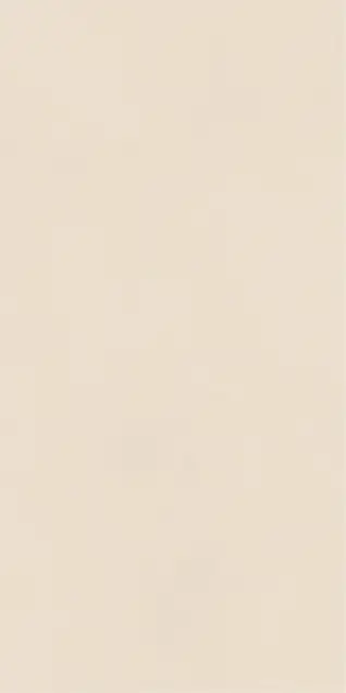 Posh Finish SPITI ARACHIDE 600x1200mm