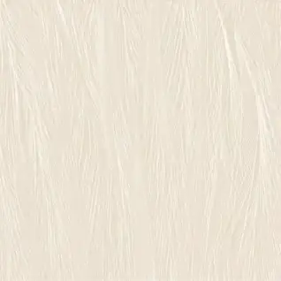 Glossy Finish Feather 600x600mm