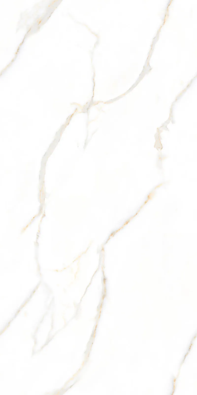 Glossy Finish 80160GL ALBORA WHITE PGVT 800x1600mm