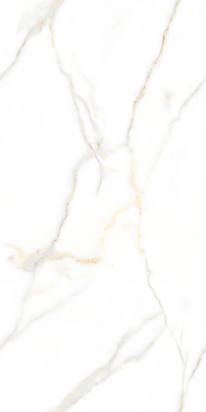 Glossy Finish 80160GL ALBORA WHITE PGVT 800x1600mm