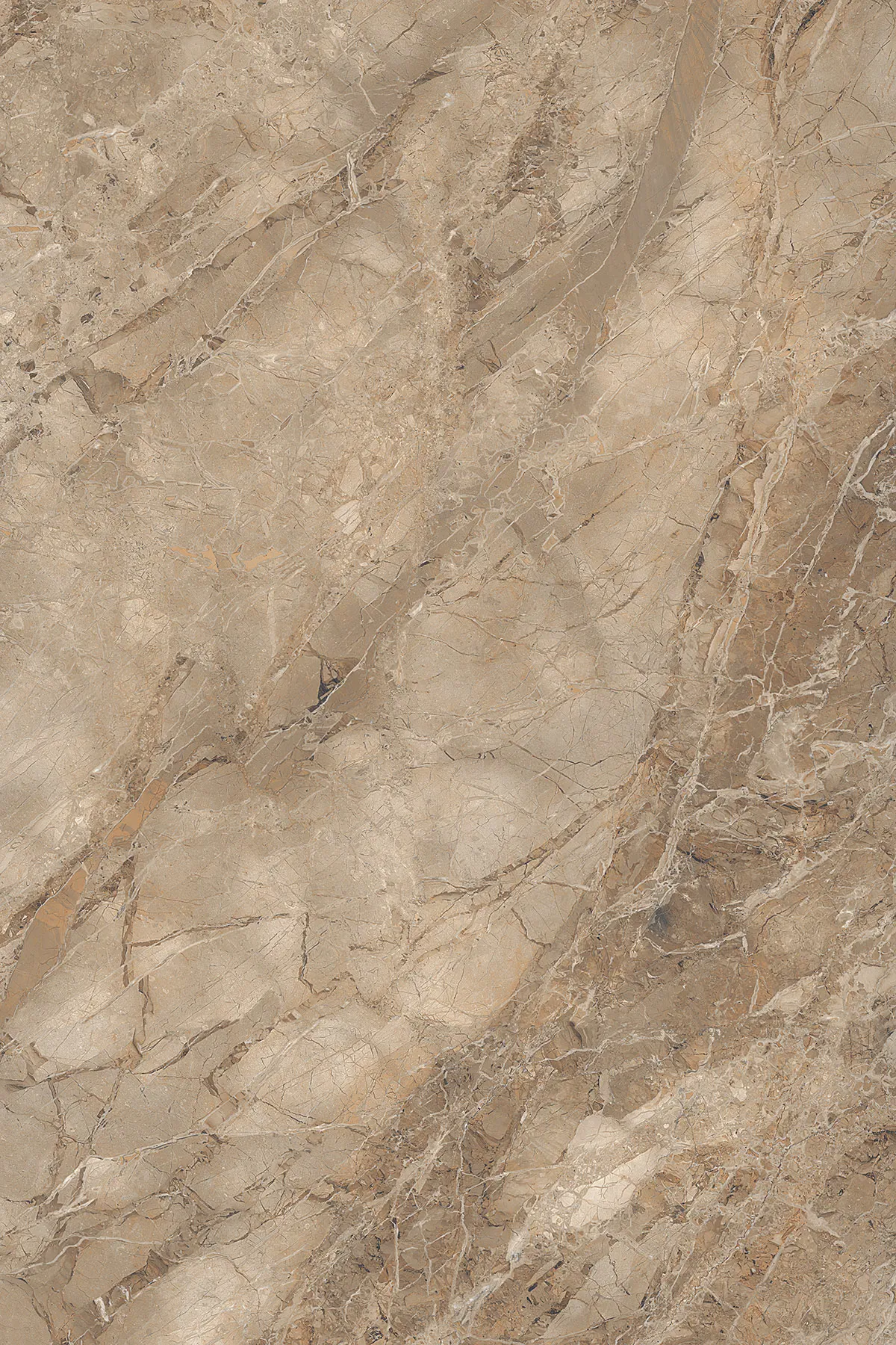 Glossy Finish ADDISON BROWN 1200x1800mm