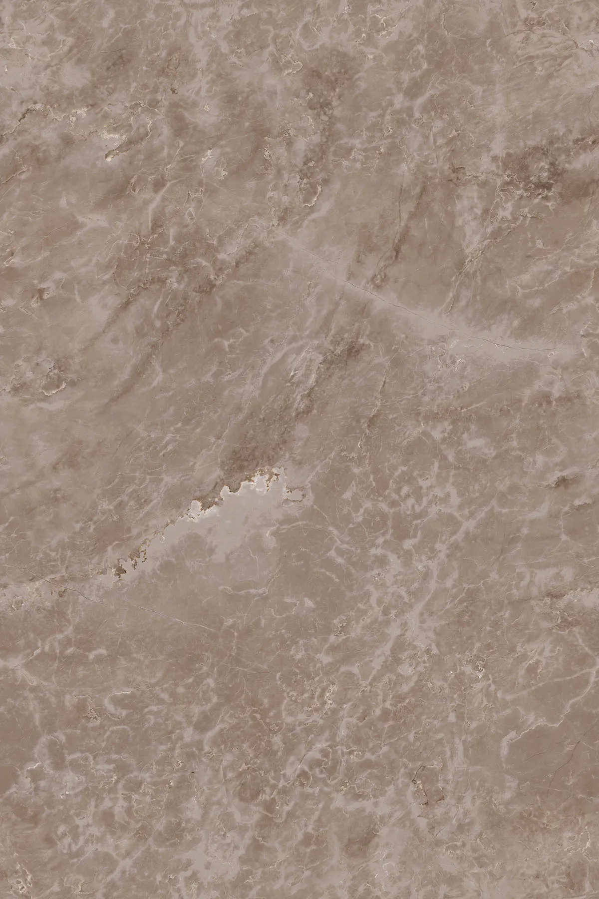 Glossy Finish ALBI TAUPE PGVT 1200x1800mm