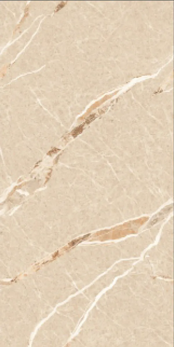 Glossy Finish Amaranto Brown  PGVT 600x1200mm