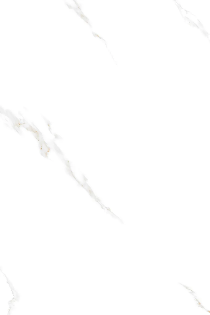 Glossy Finish ANJC-324805 PGVT 800x1200mm