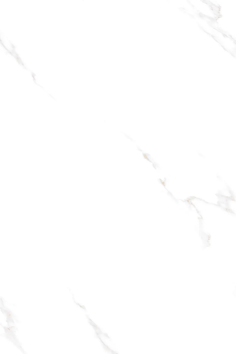 Glossy Finish ANJC-324805 PGVT 800x1200mm