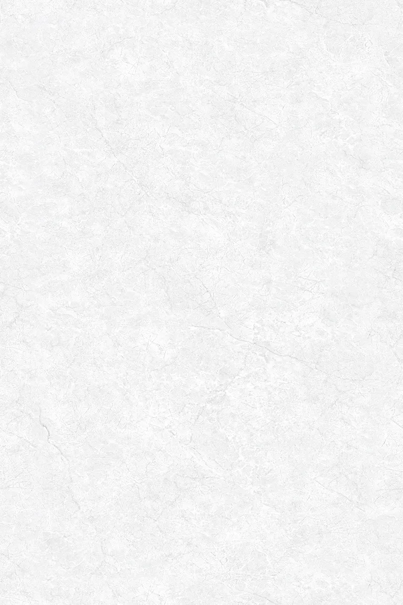 Glossy Finish ANJC-324816 PGVT 800x1200mm